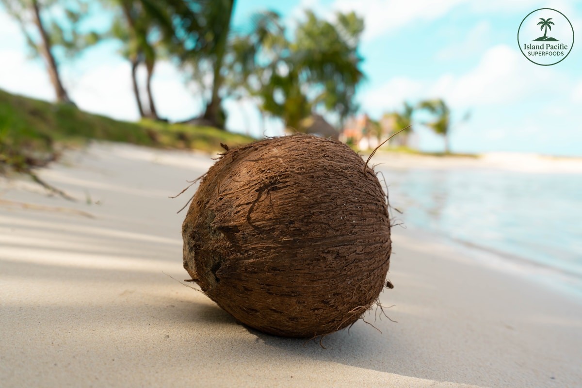 Understanding the Health Benefits of Virgin Coconut Oil